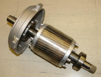 Rotor de gàbia d'esquirol