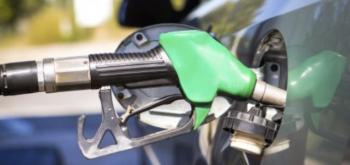 Gasolina
